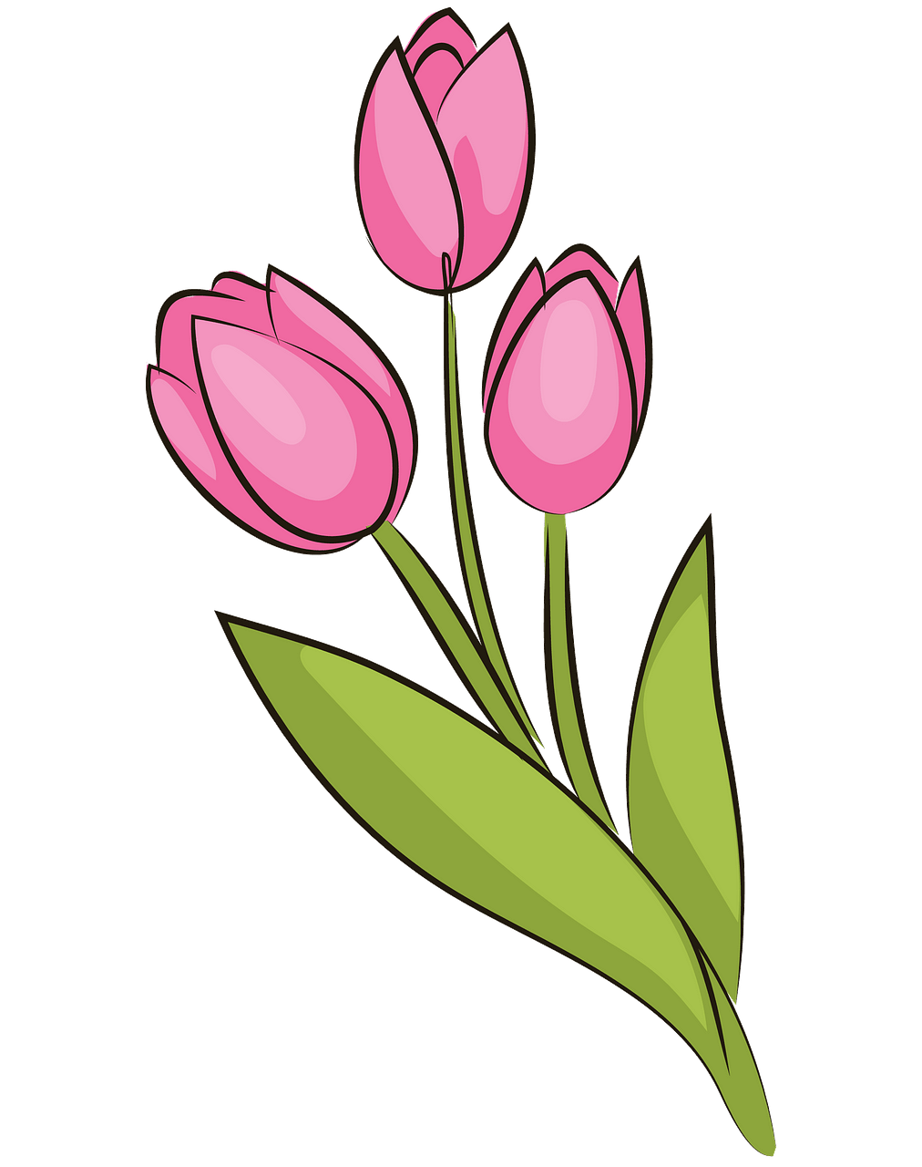 Tulpe Clipart 6 Clipart Station | Images and Photos finder