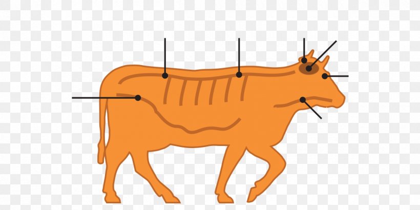 nervous cow cliparts