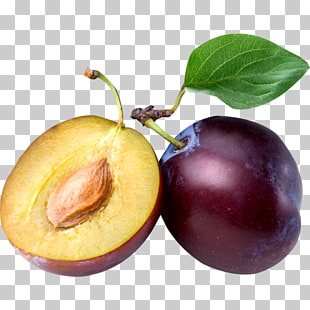 Free Prune Juice Cliparts, Download Free Prune Juice Cliparts png ...