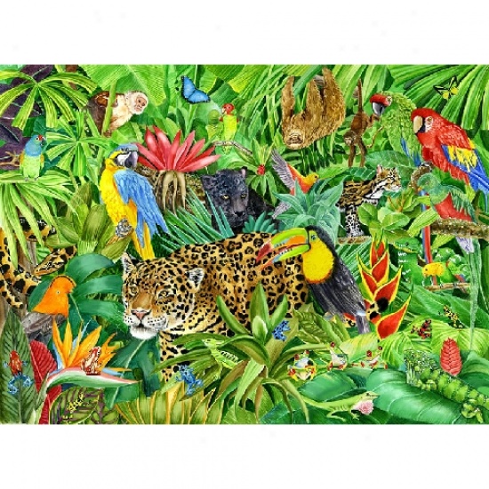 Free Clipart Rainforest Clip Art Library