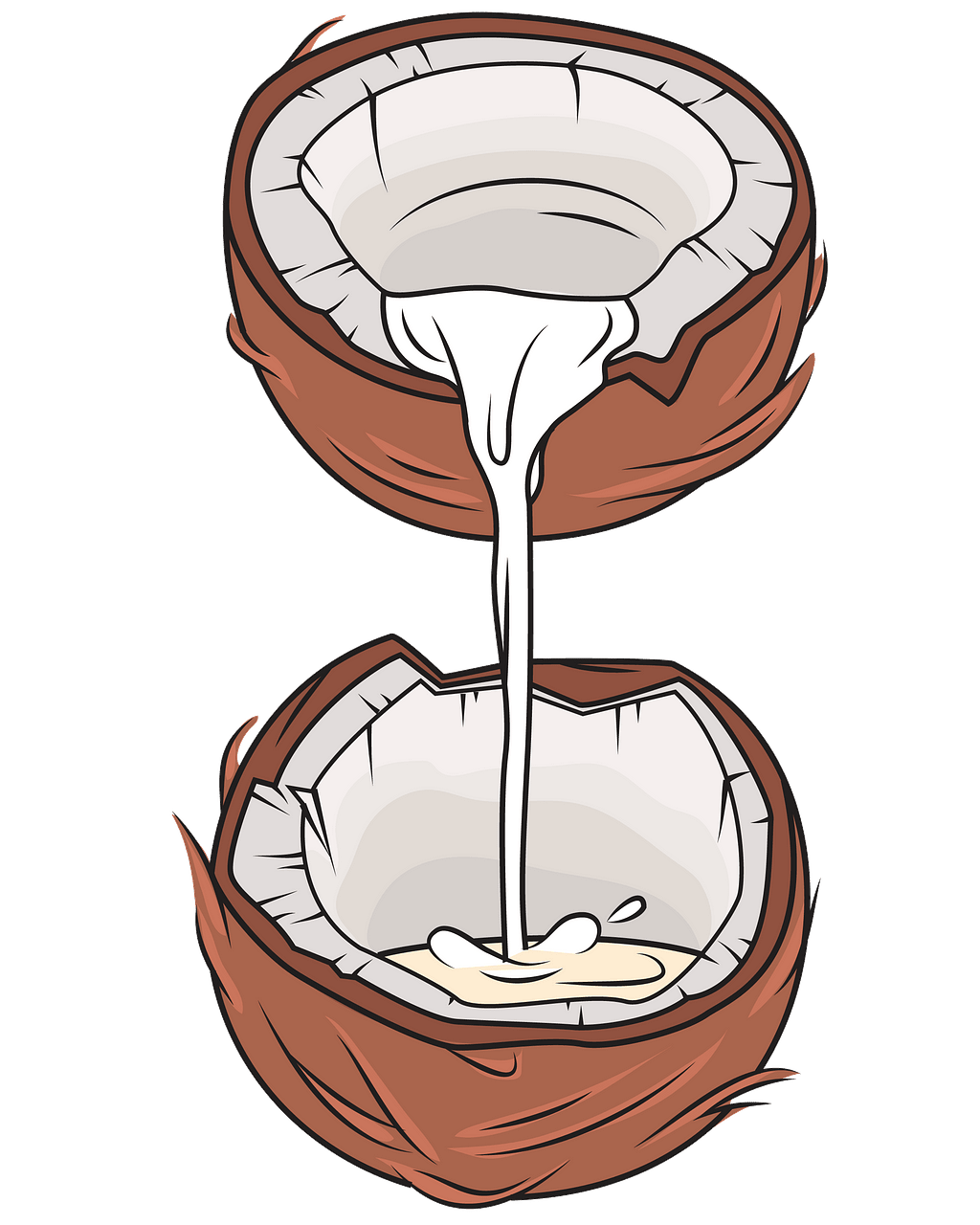 free-coconut-cliparts-download-free-coconut-cliparts-png-images-free