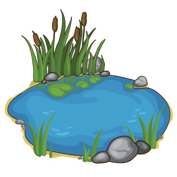 Animated Clipart Of Ponds