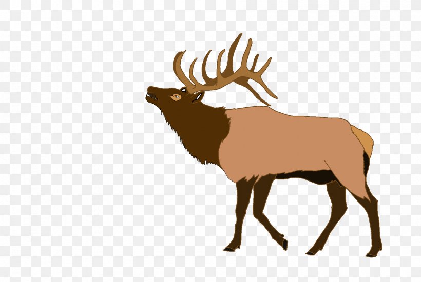 Elk Deer Clip Art, PNG, Elk, Antler, Blog, Cattle 