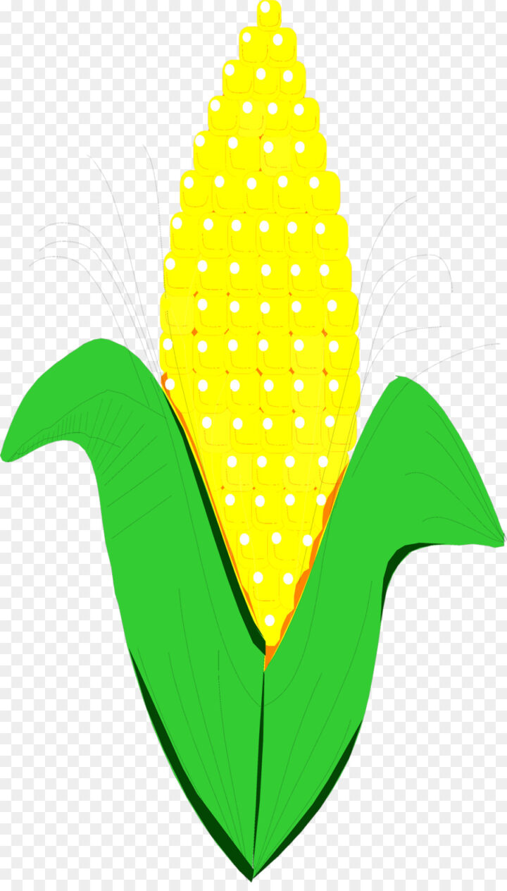 Candy Corn Corn On The Cob Maize Clip Art Being Cliparts O2fnd 