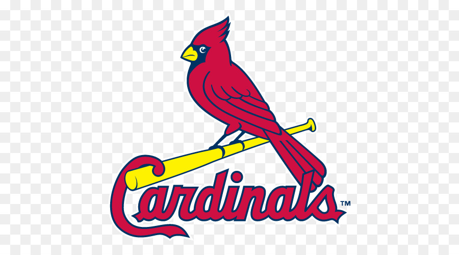 St Louis Cardinals Mlb Palm Beach Cardinals St L Mlb Field 