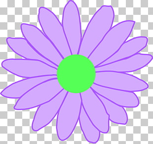 Purple daisy flower with green center on transparent background
