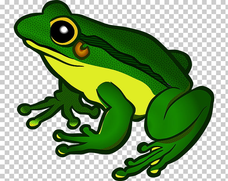 amphibian cliparts