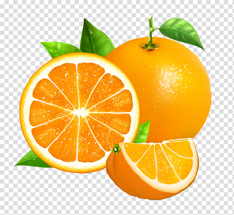 oranges clipart