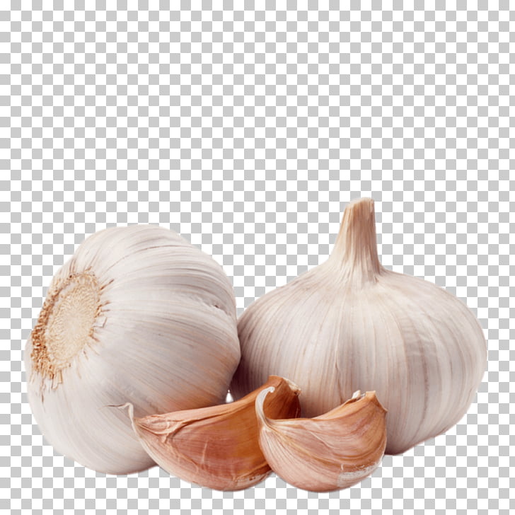 Two whole garlic bulbs and two garlic cloves on a transparent background