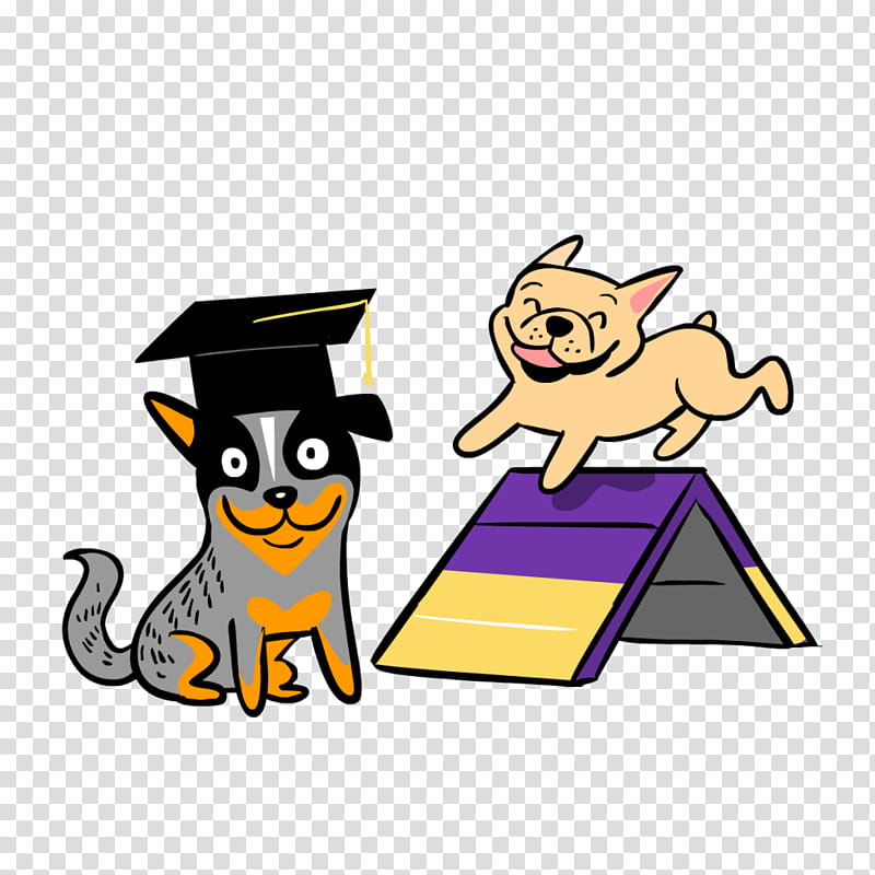 Graduation, Dog, Christian , Dog Agility, Dog Training, Paw, Dog 