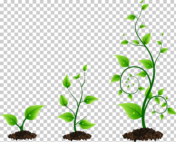 Clipart Card Grow