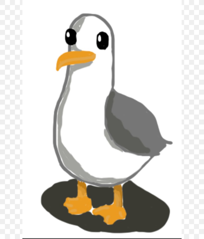 funny seagulls cliparts