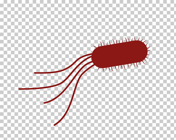 e coli cliparts