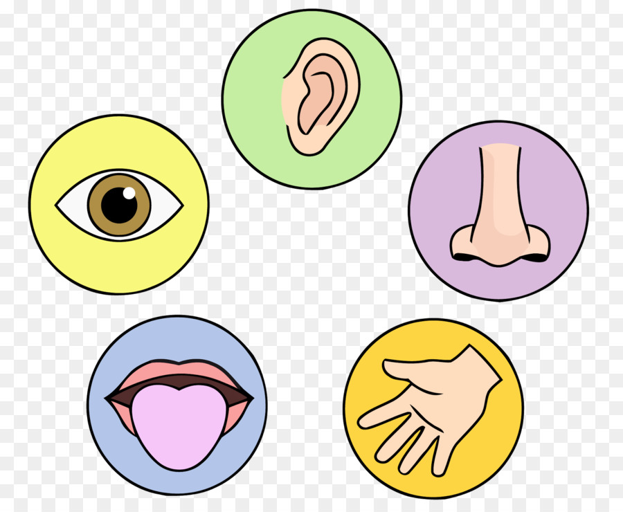 Free Sensory Cliparts Download Free Sensory Cliparts Png Images Free 