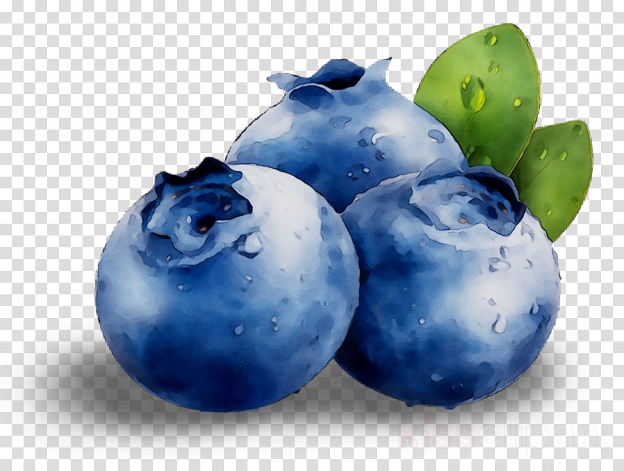 Blueberry Images Cartoon ~ Blueberry Clip Art Free | Bocainwasul
