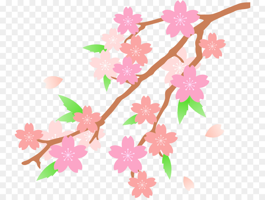 cherry blossom clipart - Clip Art Library