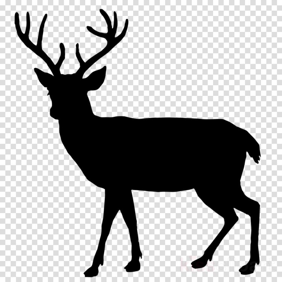 All Photo Png Clipart Deer Silhouette Transparent Png Full Size ...