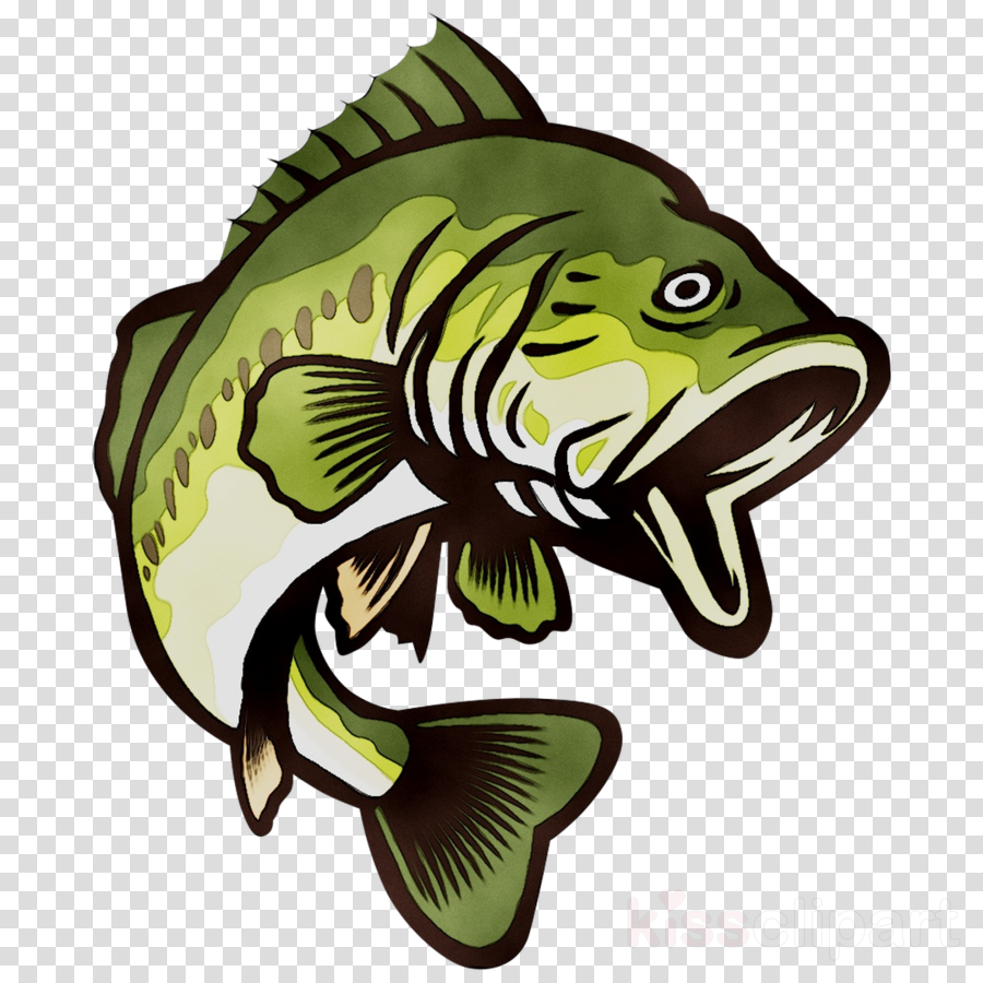 Free Bass Fish Cliparts, Download Free Bass Fish Cliparts png images ...