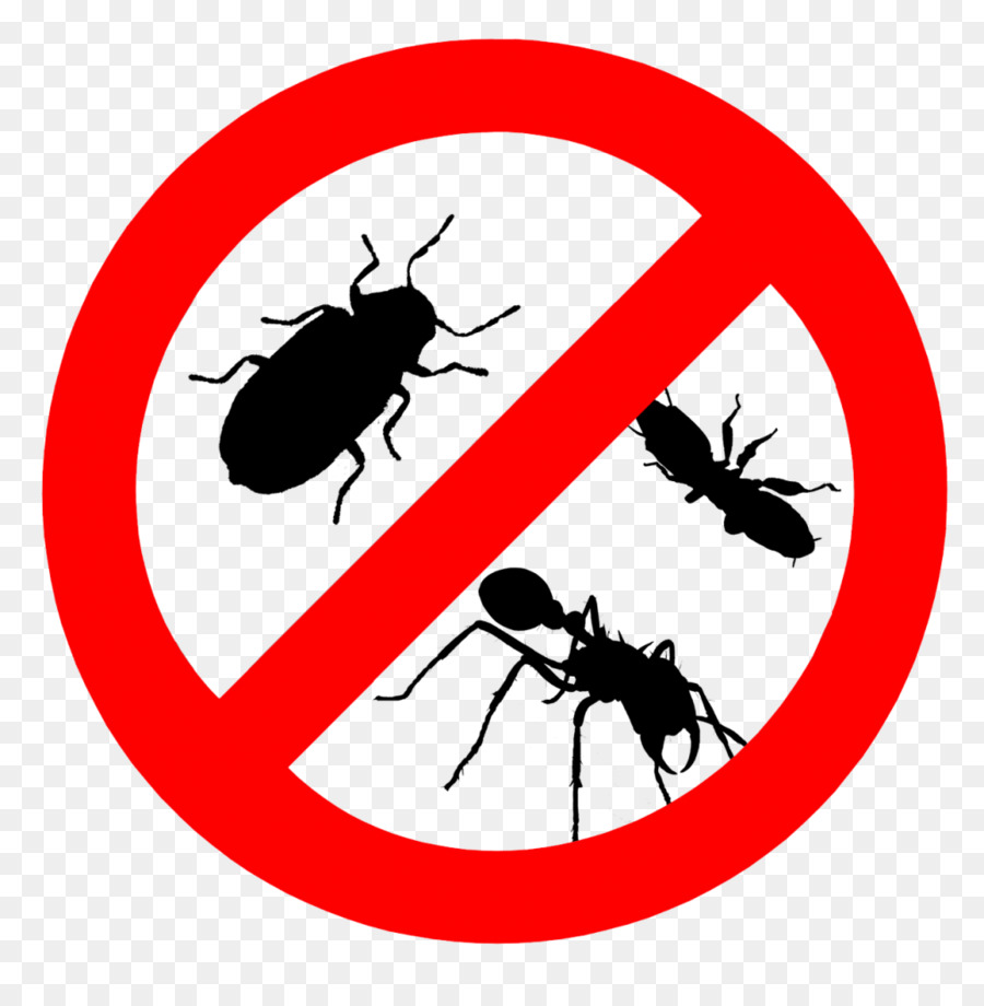 pest control abu dhabi - Clip Art Library