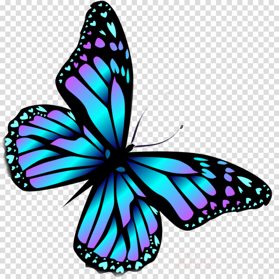 cartoon blue butterfly - Clip Art Library