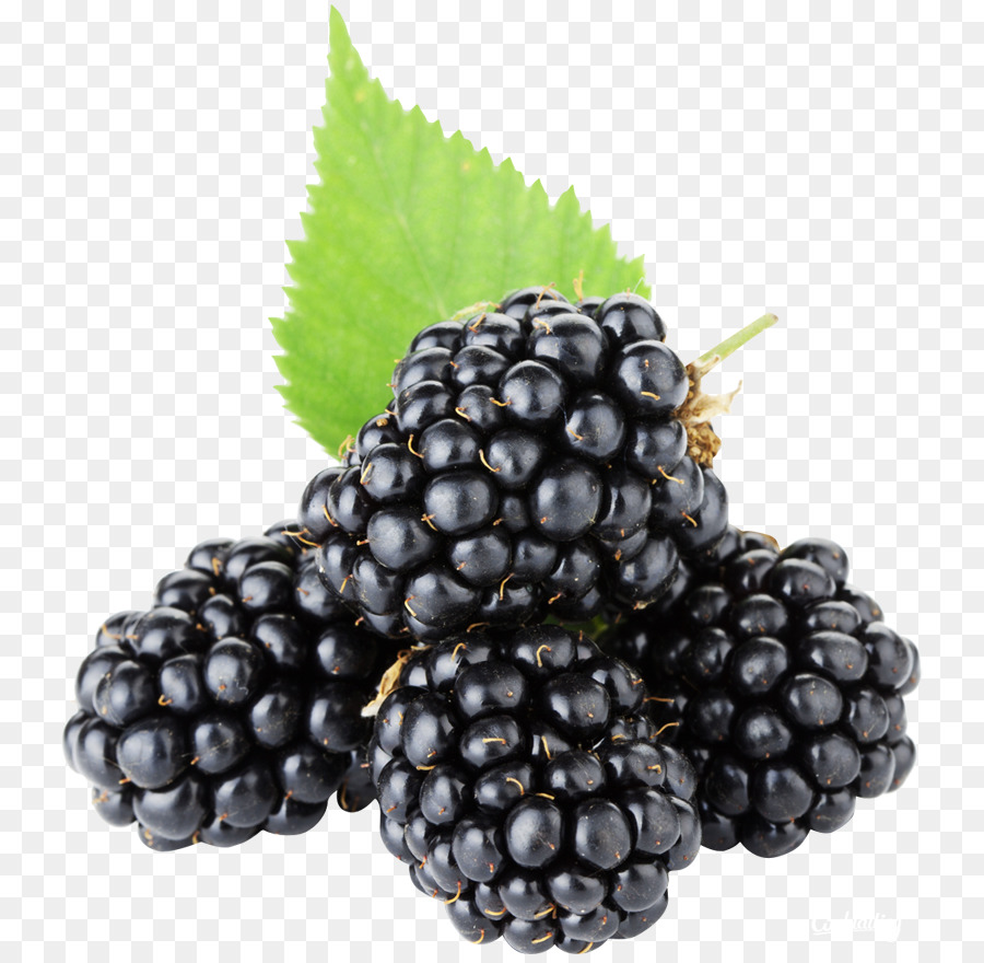 Fresh blackberries with a green leaf on a transparent background