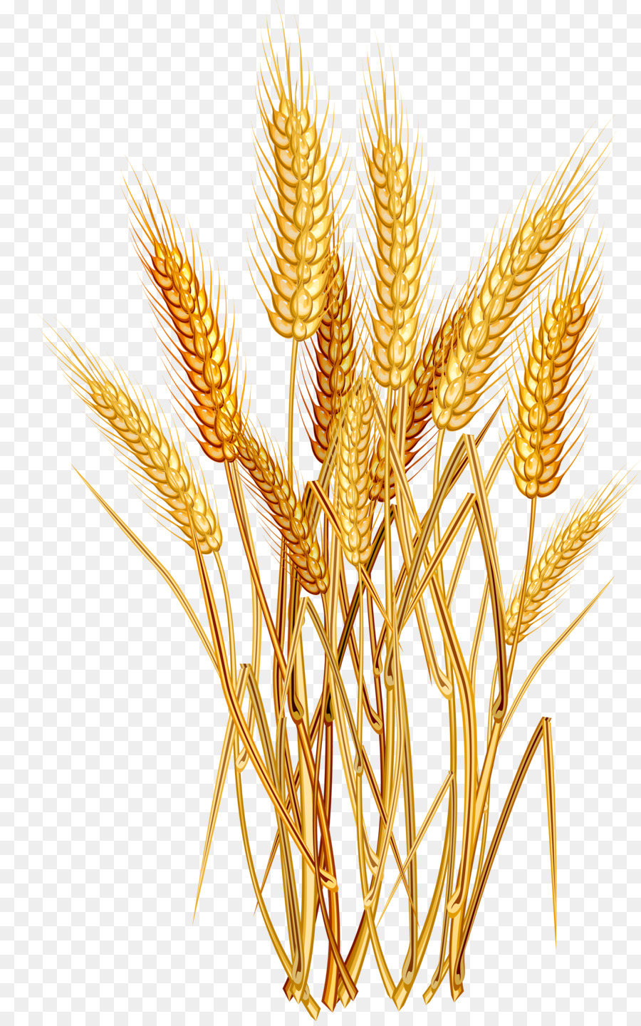 Free Wheat Flower Cliparts, Download Free Clip Art, Free Clip Art on ...