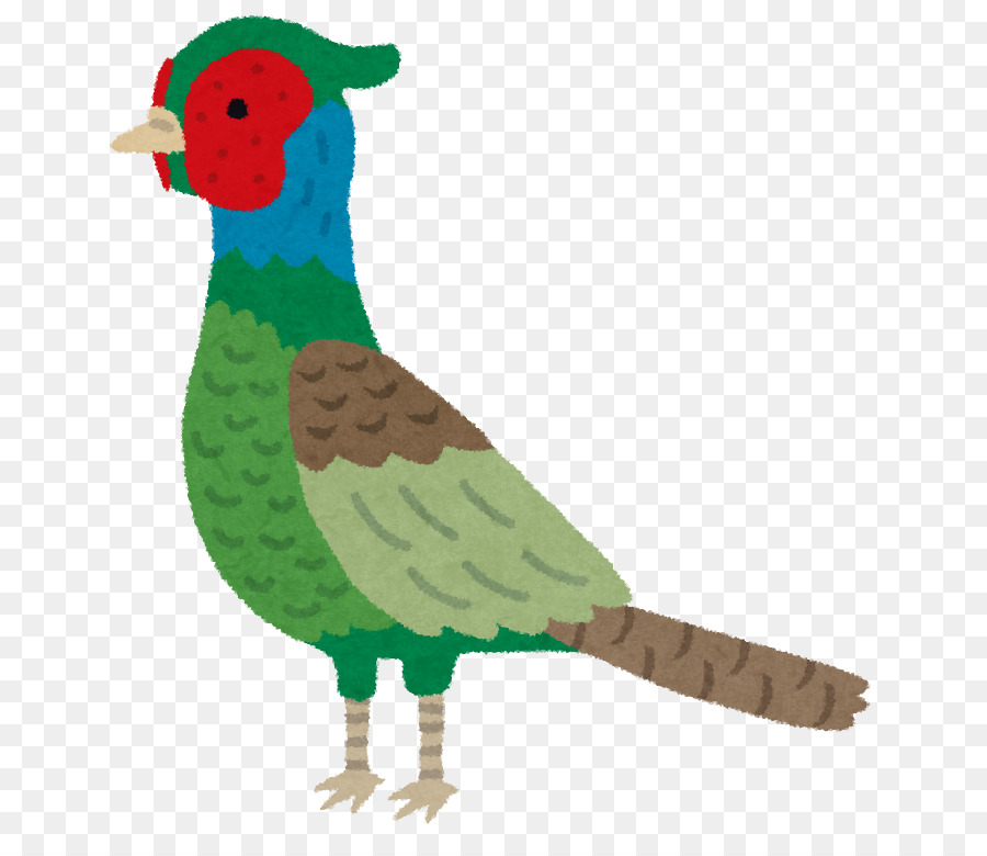 Colorful illustration of a pheasant with green, blue, and red plumage, standing on a transparent background.