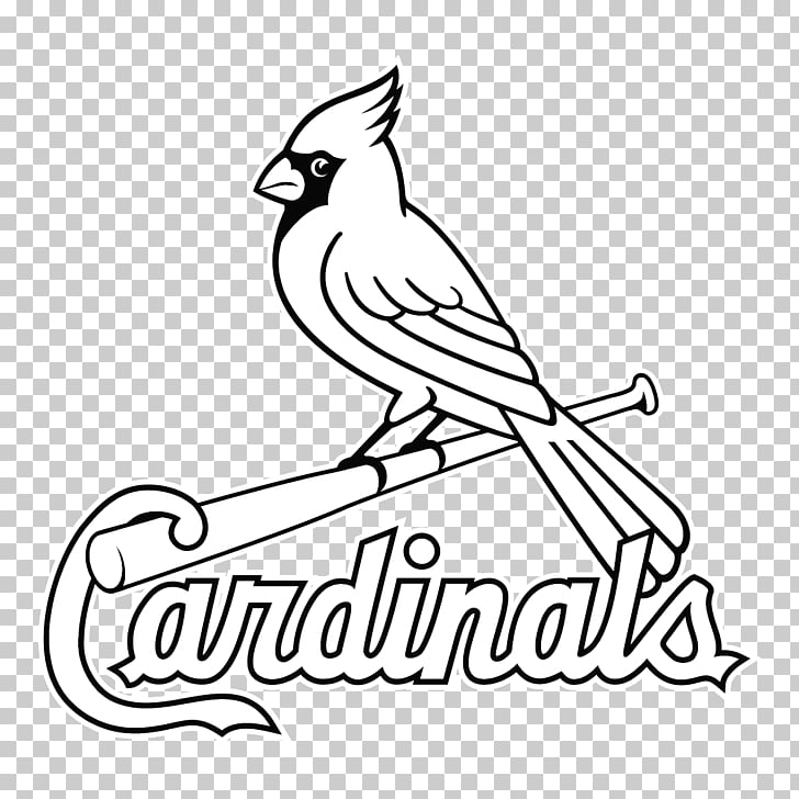 St Louis Cardinals Logo Tattoo SVG, Cardinals Clipart Outline PNG Vector