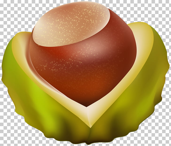 A glossy chestnut nestled in a green leafy husk, showcasing its rich brown color and smooth texture.