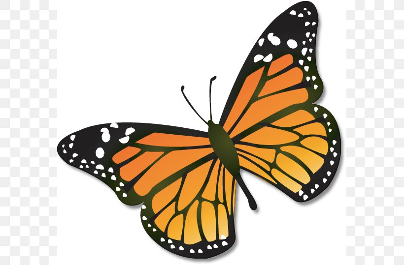 animal butterfly cliparts