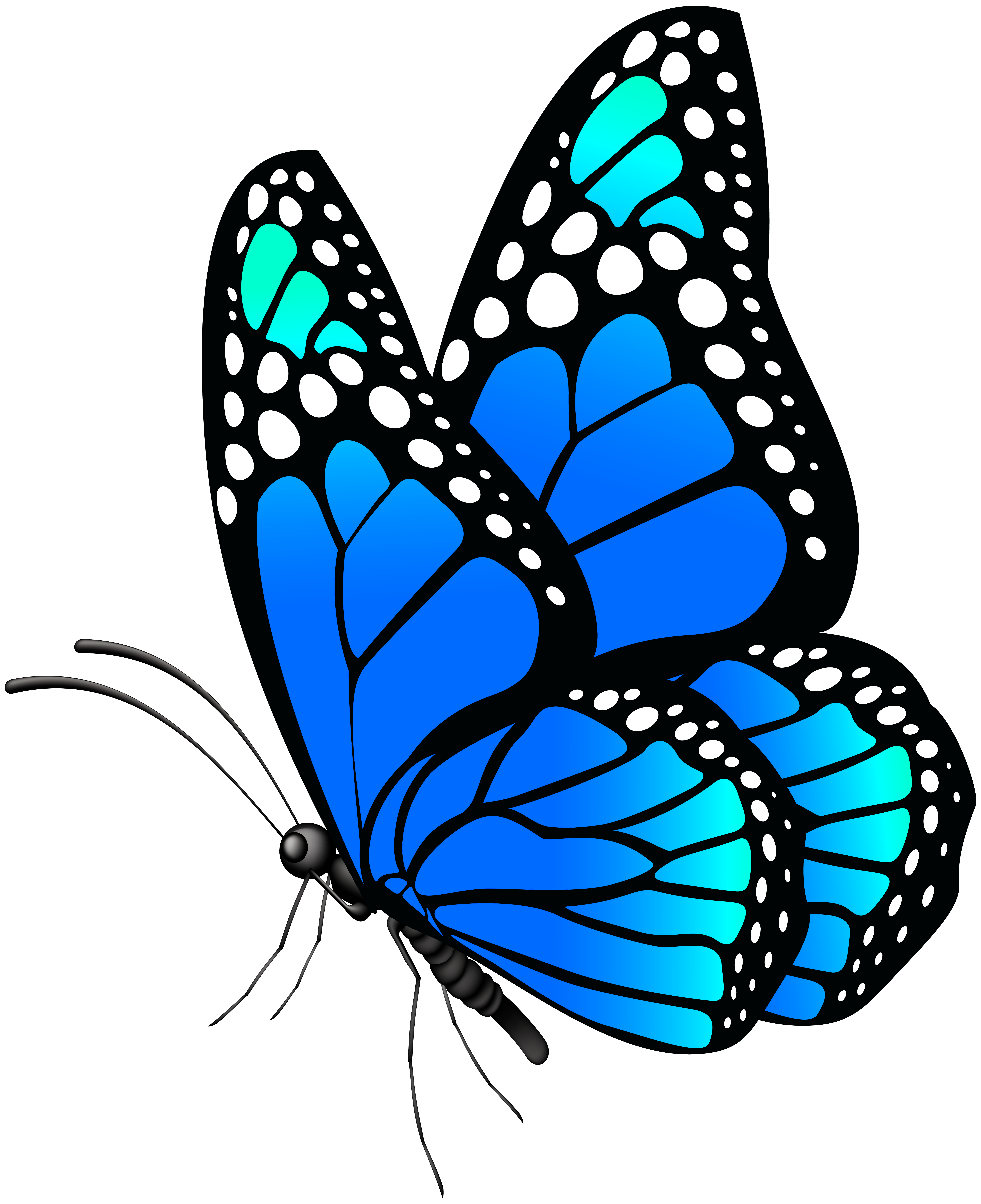 Monarch Butterfly Clip Art Portable Network Graphics - vrogue.co