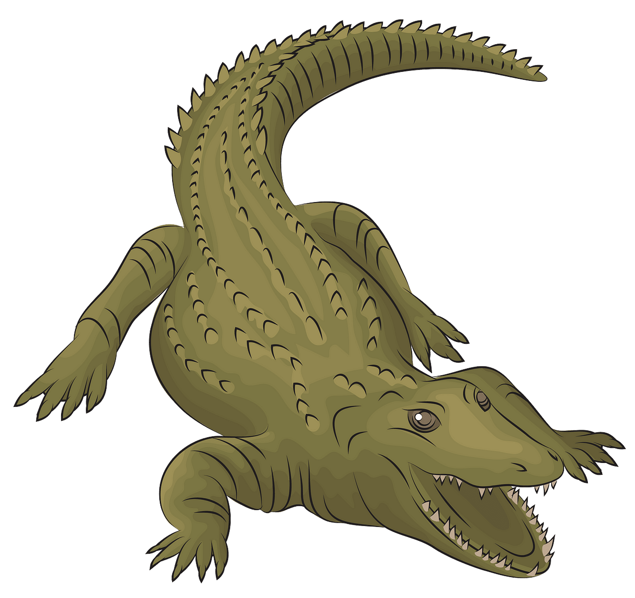 Crocodile Clipart Png Download Full Size Clipart 5486 - vrogue.co