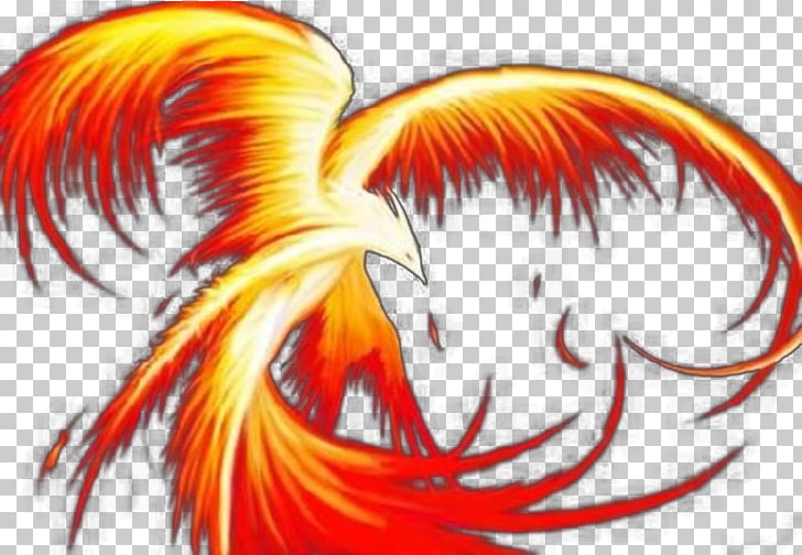 Firebird Cliparts - Pássaro De Fogo Desenho - Free Transparent PNG Clipart  Images Download