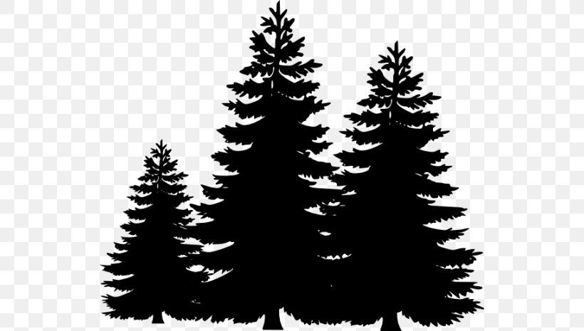 Clipart Pine Trees Silhouette Clip Art Library