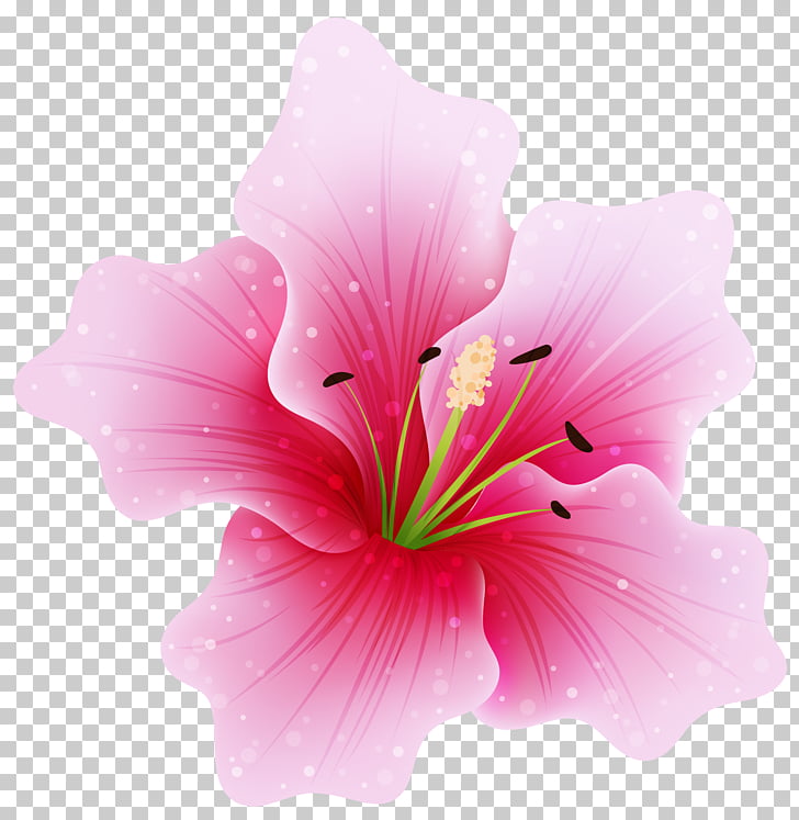 Free Pink Hibiscus Cliparts, Download Free Pink Hibiscus Cliparts png ...