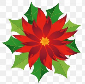 poinsettia cliparts