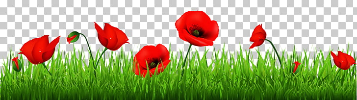 beautiful lawn cliparts