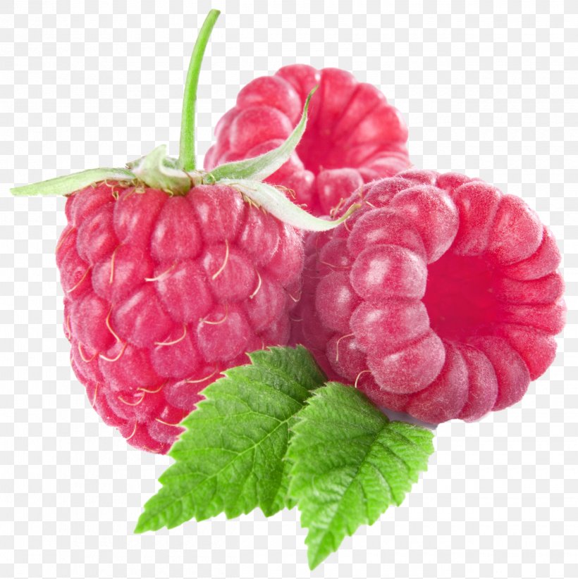 Free Raspberry Cliparts, Download Free Raspberry Cliparts png images ...