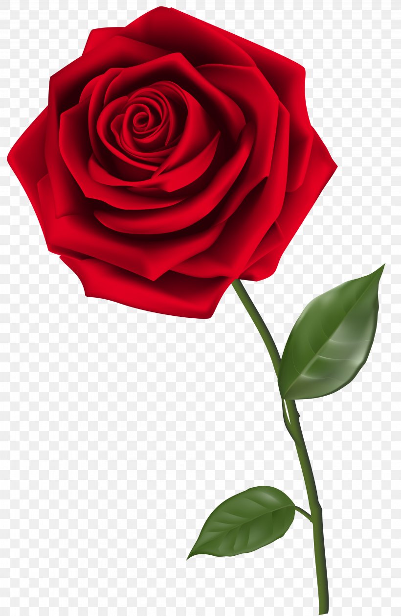 Free Rose Cliparts, Download Free Rose Cliparts png images, Free ...