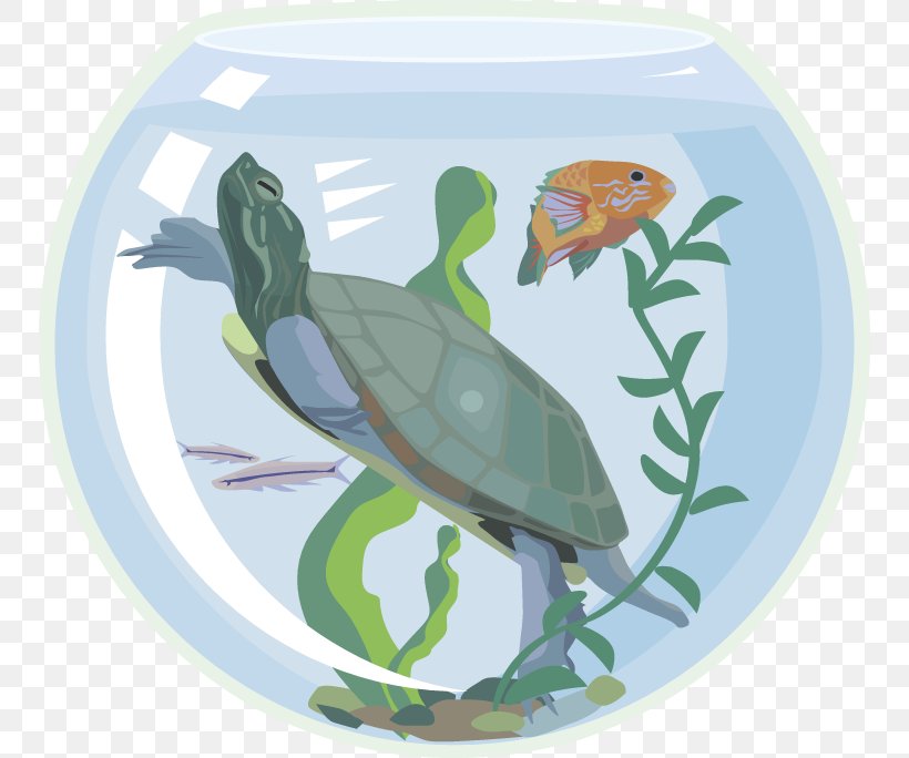 turtle tank cliparts