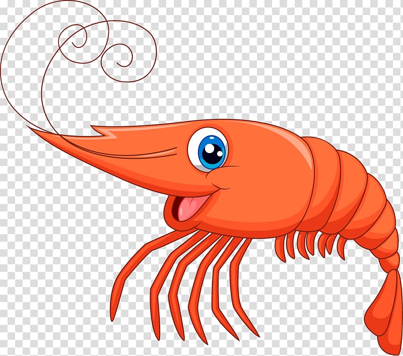 Cartoon Shrimp Clip Art