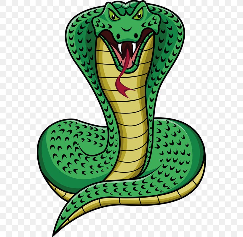 anaconda clipart