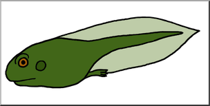 tadpole cliparts