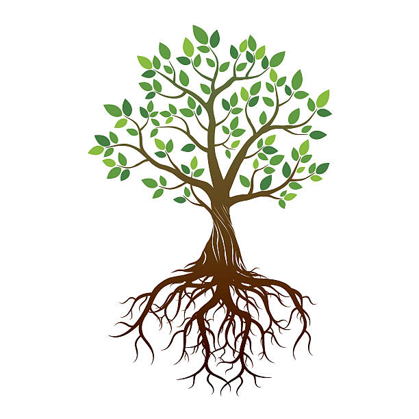 Plant With Roots Clip Art
