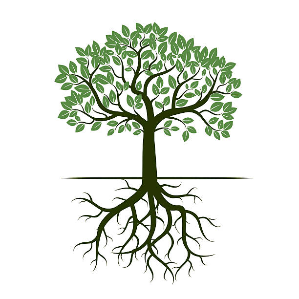 free tree with roots clipart