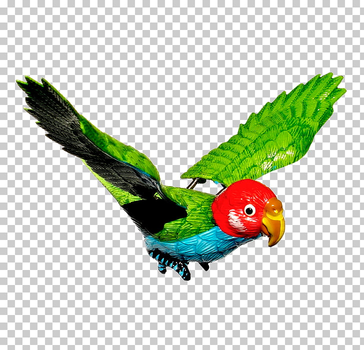 parrot toy cliparts