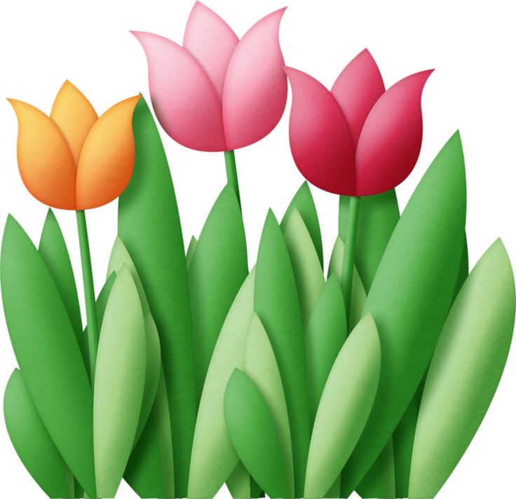 flower clip art tulips - Clip Art Library