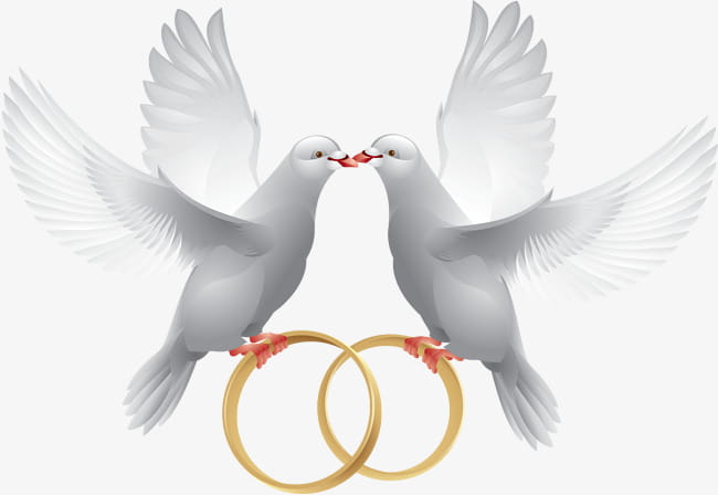 two doves cliparts