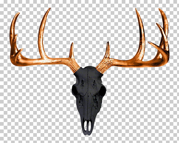 skull antlers cliparts