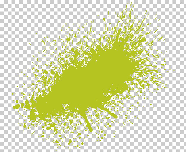 Green paint splatter on transparent background